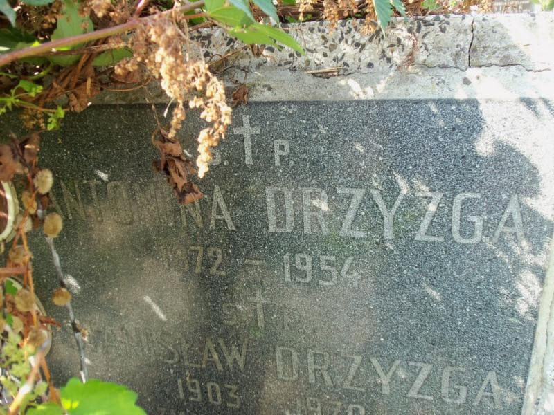 Zdjęcie grobu Stanisław Drzyzga (2)