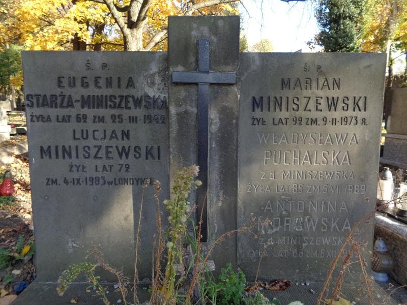Zdjęcie grobu Władysława Puchalska (2)