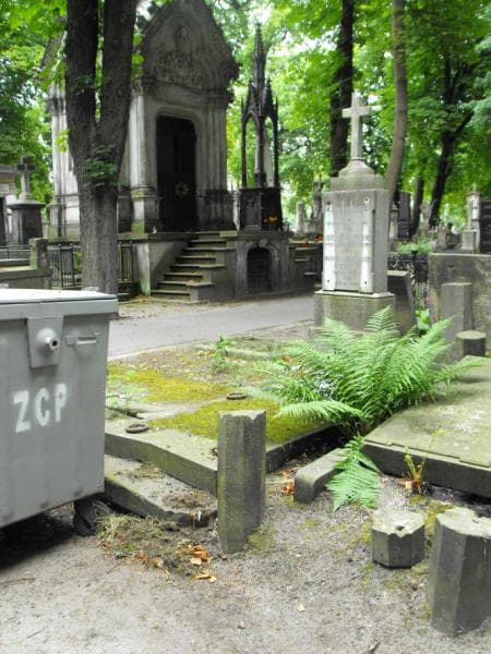 Zdjęcie grobu: Paulina Cyrońska