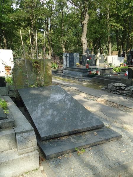 Zdjęcie grobu Maria Miedzianowska (2)