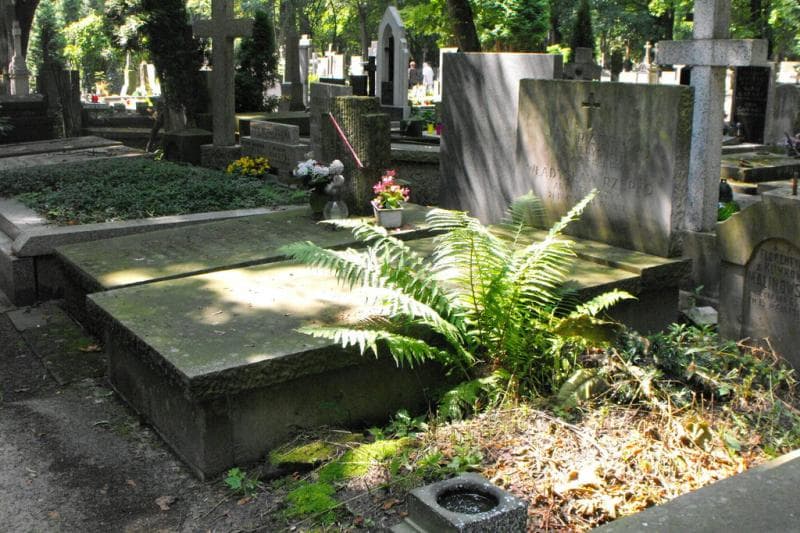 Zdjęcie grobu Karol Rzepko (1)