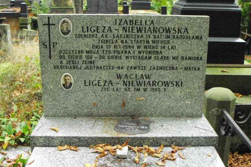 Zdjęcie grobu Wacław Ligęza-Niewiarowski (2)