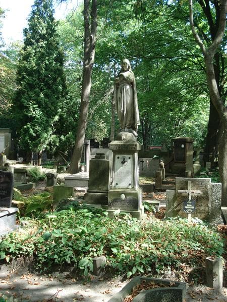 Zdjęcie grobu: Jan Uszyński