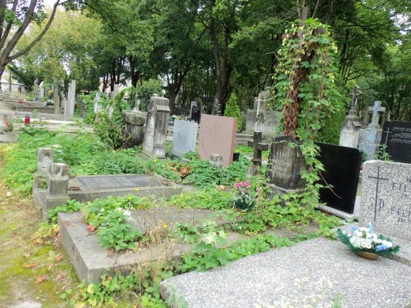 Zdjęcie grobu Róża Brzozowska (1)