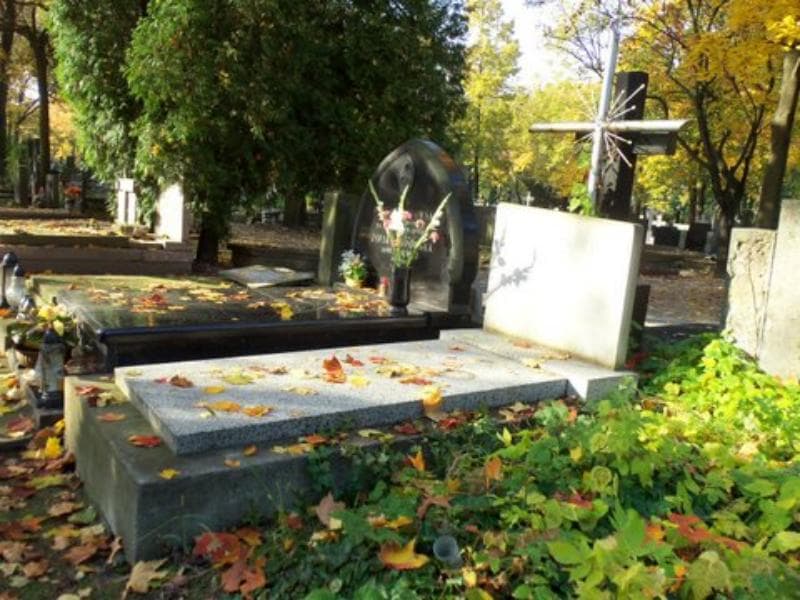 Zdjęcie grobu Zofia Wyrzykowska (1)
