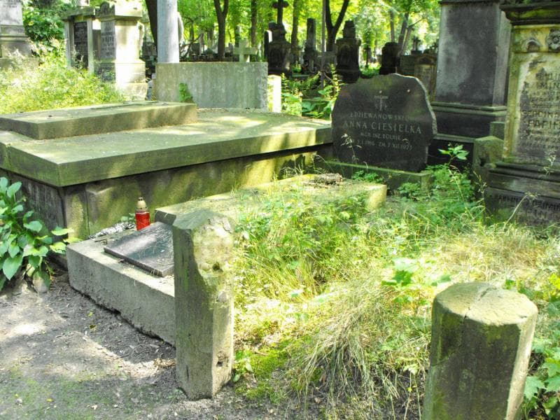 Zdjęcie grobu Anna Ciesielka (2)