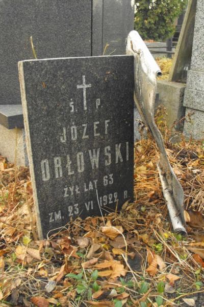 Zdjęcie grobu Julia Orłowska (2)