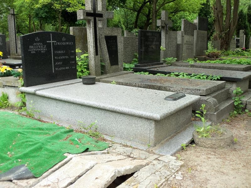 Zdjęcie grobu Józef Lewandowski (1)