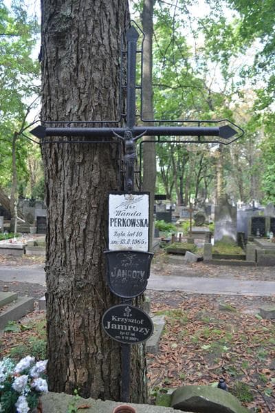 Zdjęcie grobu Wanda Perkowska (2)