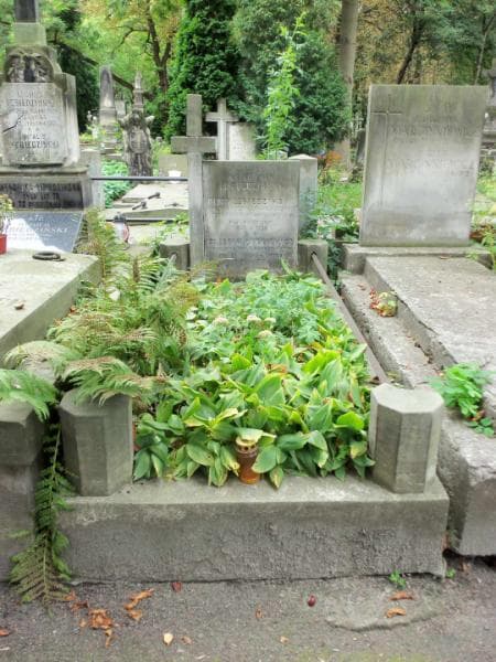 Zdjęcie grobu: Ludwik Lebiedziński