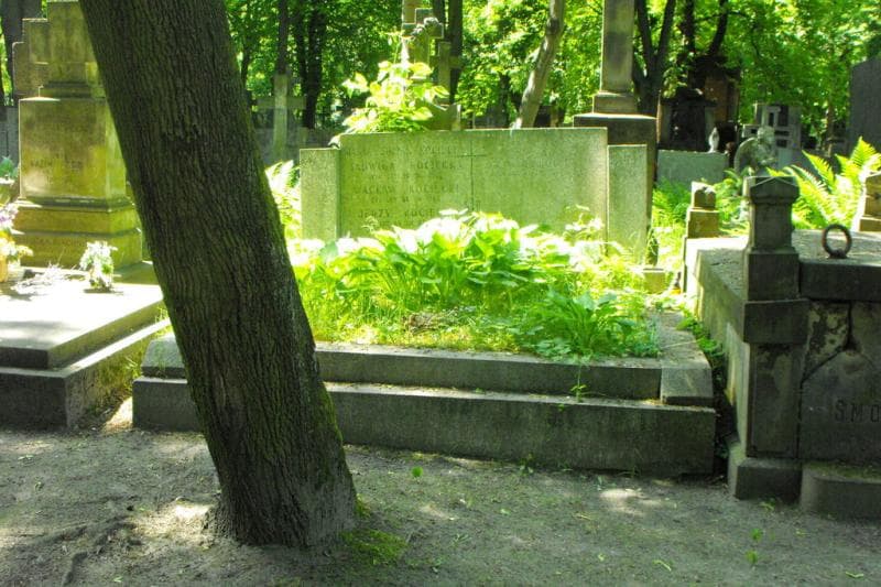 Zdjęcie grobu: Jerzy Kocięcki