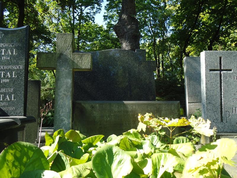 Zdjęcie grobu Jerzy Illinicz (2)