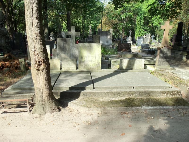 Zdjęcie grobu: Józef Pleszczyński