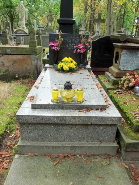 Zdjęcie grobu: Czesław Wygonowski