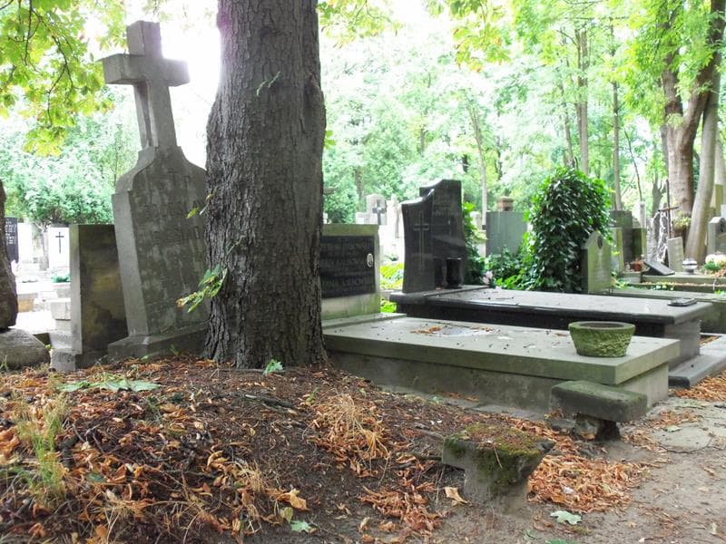Zdjęcie grobu Adolf Biesiada (1)