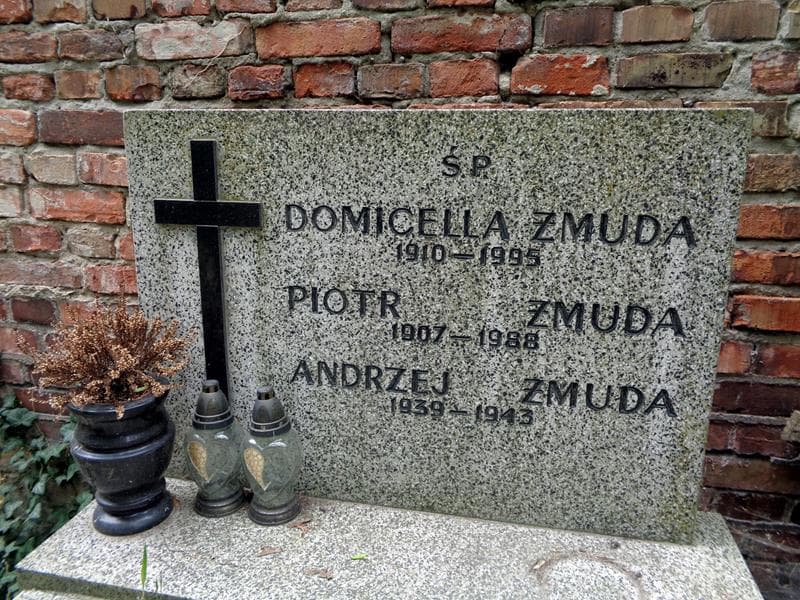 Zdjęcie grobu Domicella Żmuda (2)
