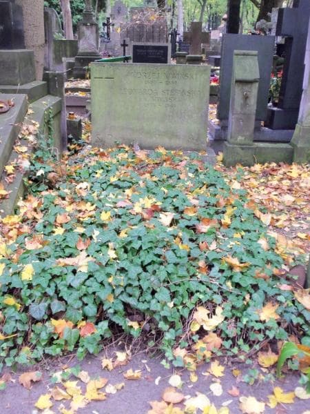 Zdjęcie grobu: Andrzej Niwiński