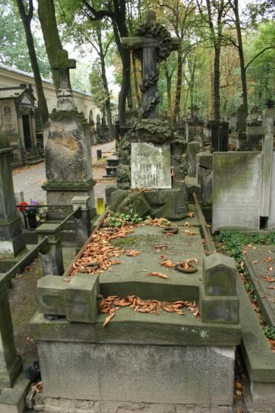 Zdjęcie grobu: Franciszek Bieńkowski