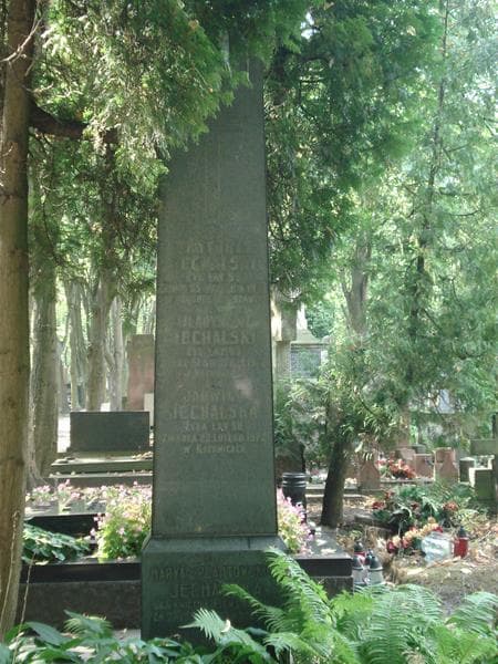 Zdjęcie grobu Władysław Jechalski (2)