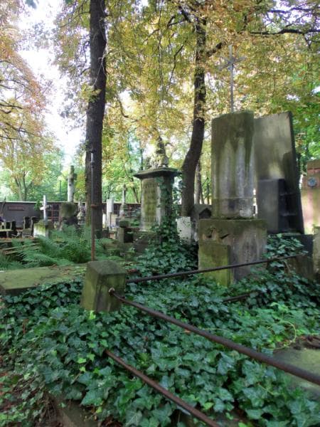 Zdjęcie grobu Jadwiga Kwiatkowska (1)