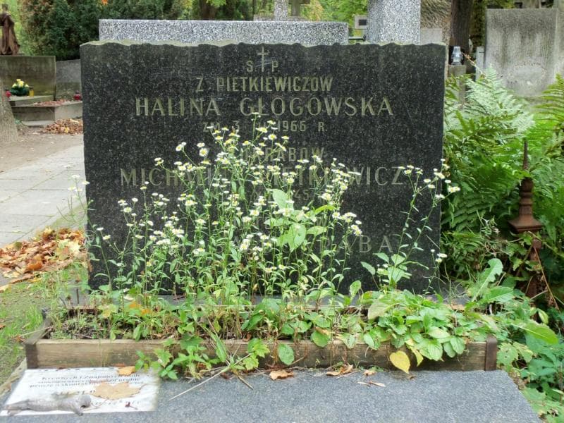 Zdjęcie grobu Halina Głogowska (2)