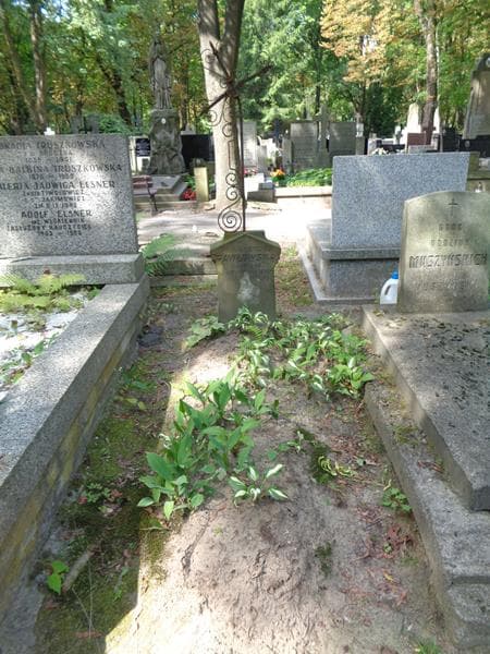 Zdjęcie grobu: Emilja Pawłowska