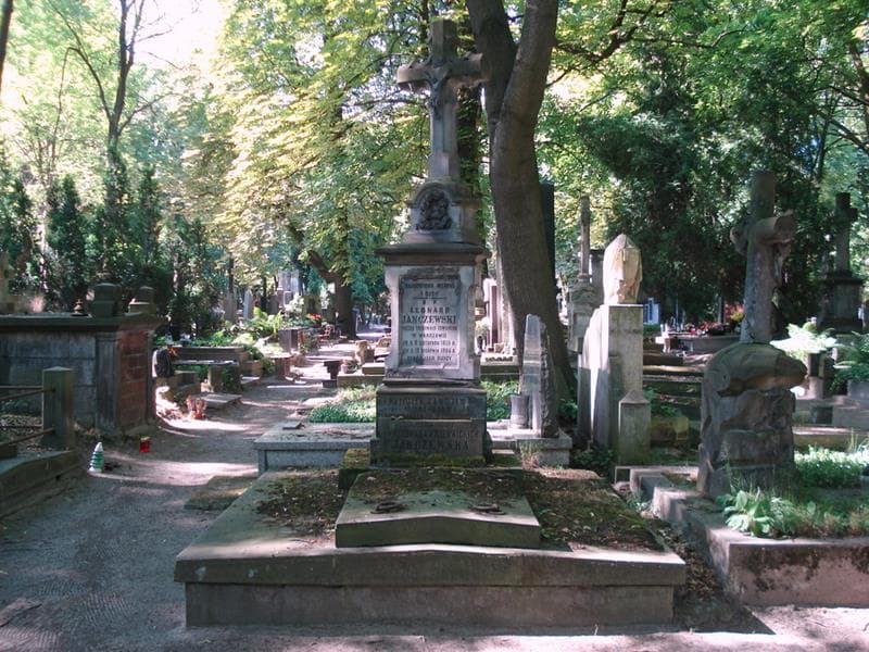 Zdjęcie grobu Kaziulek Janczewski (1)