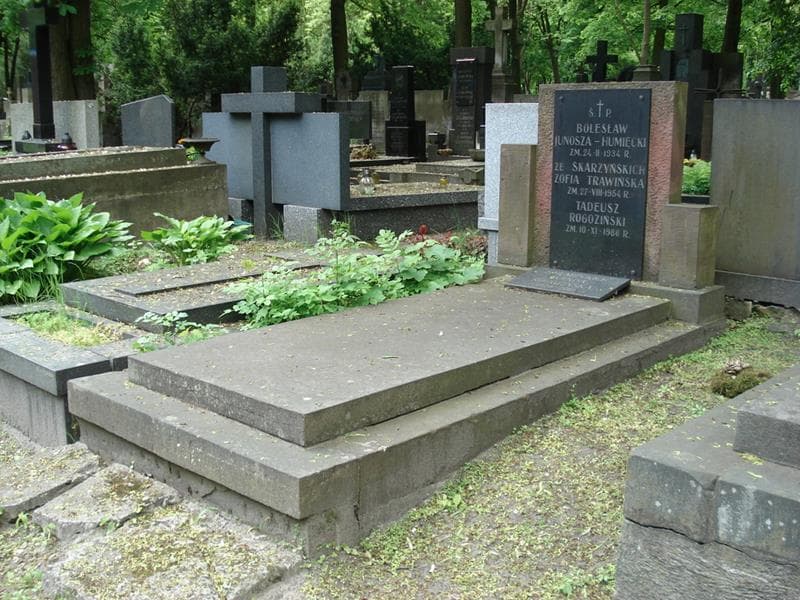 Zdjęcie grobu: Zofia Trawińska