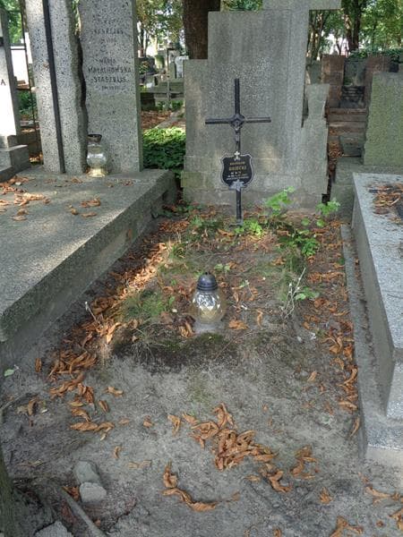 Zdjęcie grobu: Bolesław Osiecki