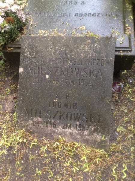 Zdjęcie grobu Ludwik Mieszkowski (2)