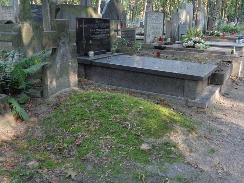 Zdjęcie grobu: Zofja Malecówna