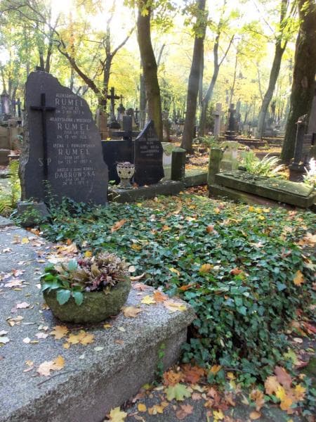 Zdjęcie grobu Aniela Dąbrowska (1)
