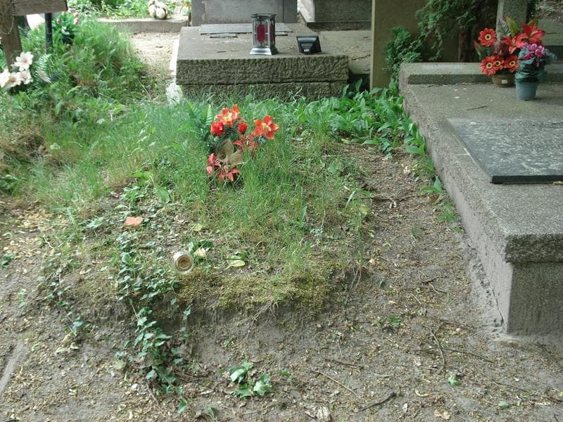 Zdjęcie grobu: Pole Grobowe