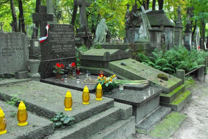 Zdjęcie grobu Henryk Cendrowski (1)