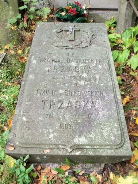 Zdjęcie grobu Emilja Trzaska (2)