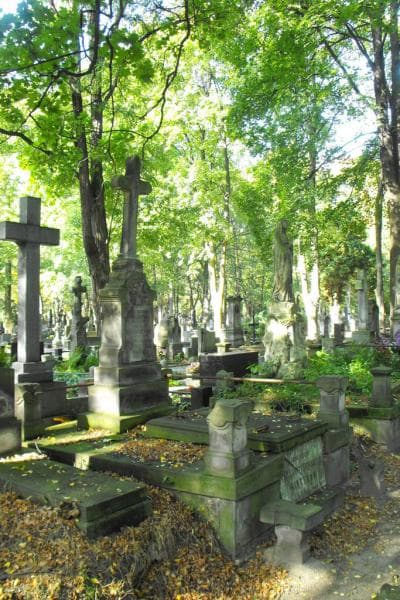 Zdjęcie grobu Teofila Chrząszczewska (1)