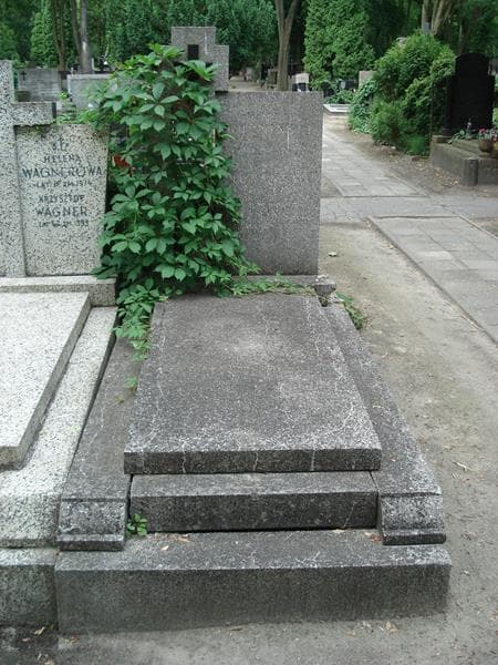 Zdjęcie grobu Franciszek Kuźmiński (1)