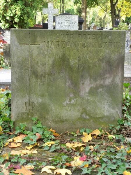 Zdjęcie grobu Marzantowiczowie (2)