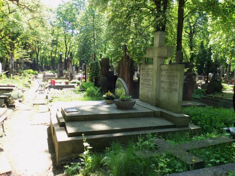 Zdjęcie grobu Henryk Fronczak (1)