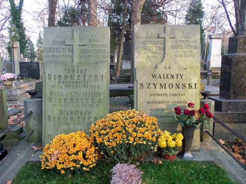 Zdjęcie grobu Stefan Anderszewski (2)