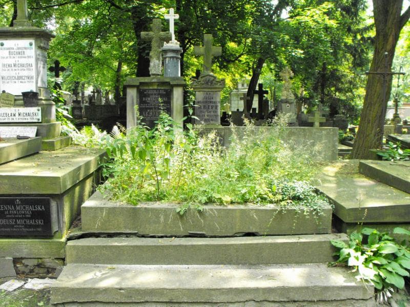 Zdjęcie grobu: Ludomir Dżwikowski