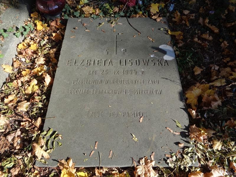 Zdjęcie grobu Leon Lisowski (2)