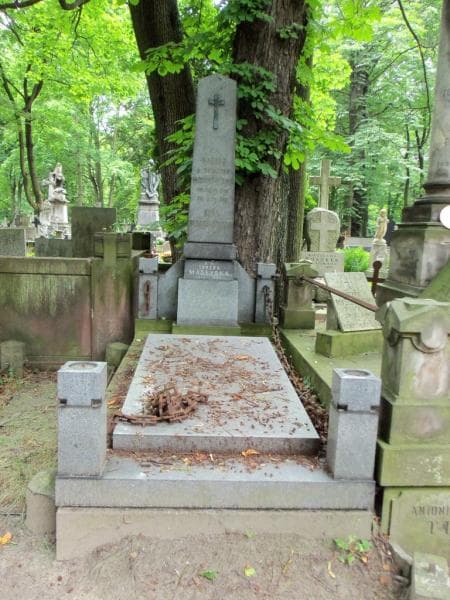 Zdjęcie grobu: Teresa Madeyska