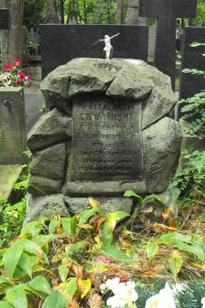 Zdjęcie grobu Aleksander Dziubiński (2)