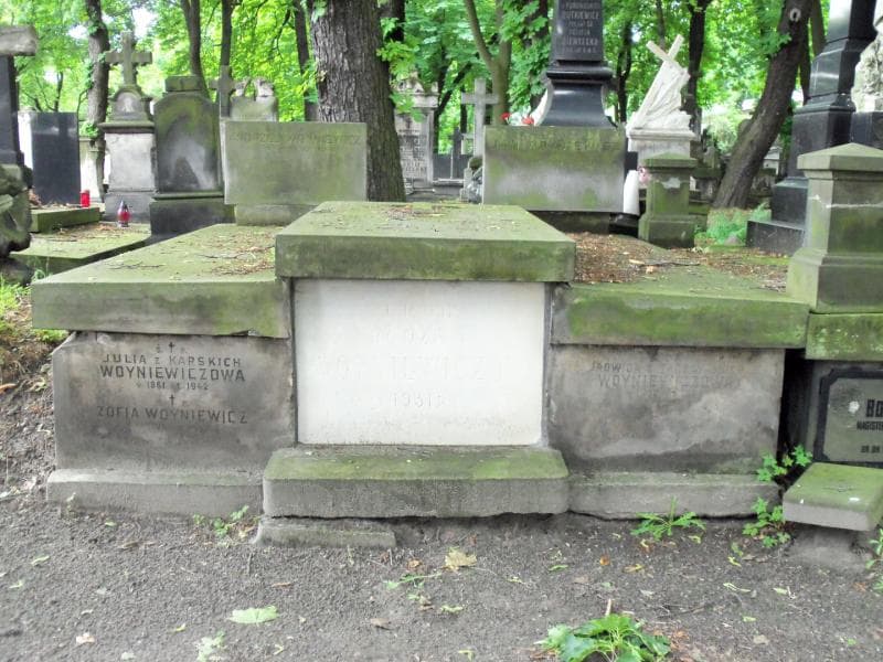 Zdjęcie grobu: Ludwik Wojciech Woyniewicz