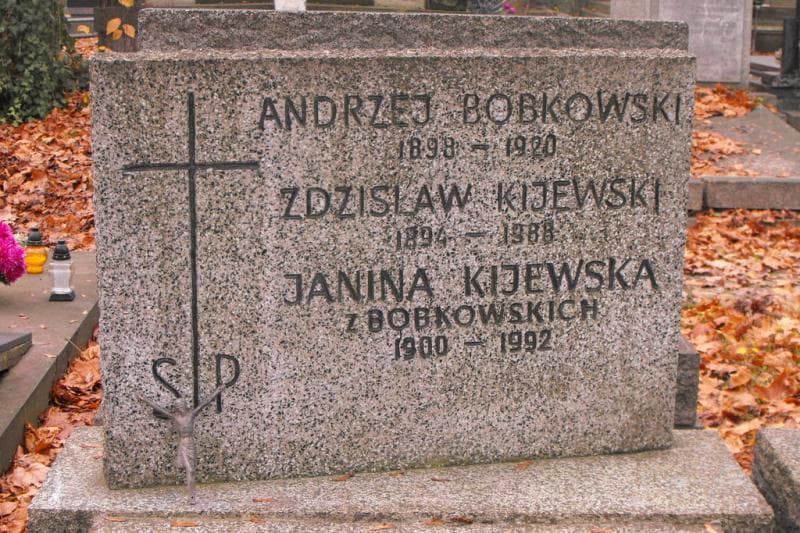 Zdjęcie grobu Andrzej Bobkowski (2)