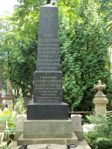 Zdjęcie grobu Stanisława Kleszczyńska (2)