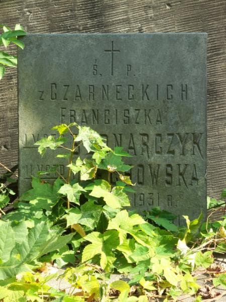 Zdjęcie grobu Antoni Bednarczyk (1)