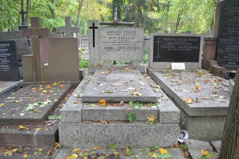 Zdjęcie grobu Janina Lubaczewska (1)