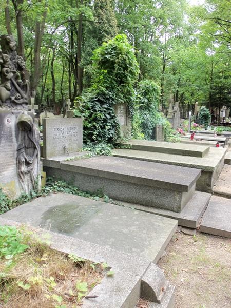 Zdjęcie grobu Teresa Bieniek (1)